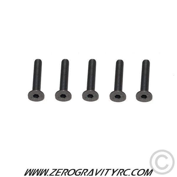 FLAT HEAD SCREW M5*30